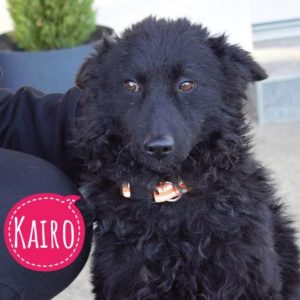 KAIRO