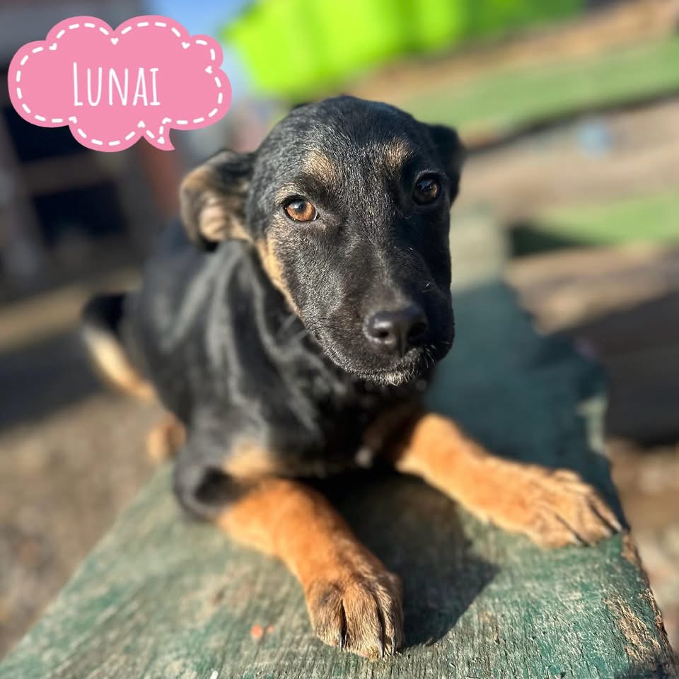 LUNAI
