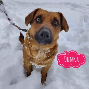 DUNNA