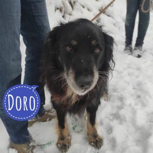 DORO