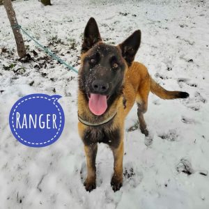 RANGER