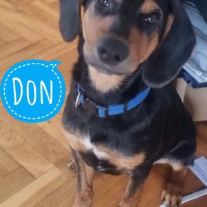 DON
