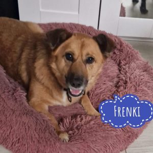 FRENKI