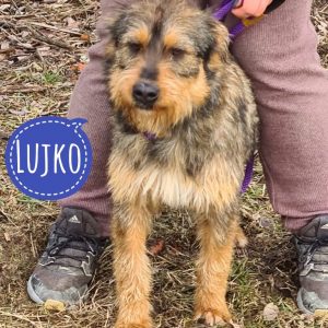 LUJKO