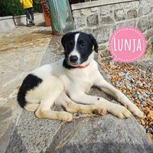 LUNJA