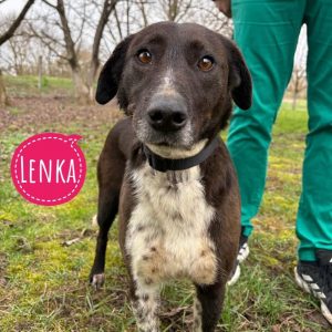 LENKA