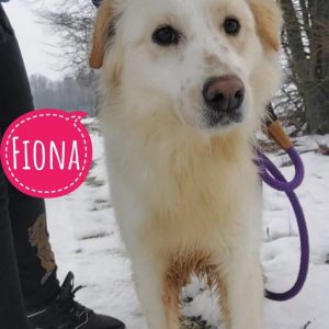 FIONA