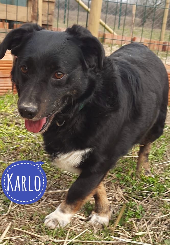 KARLO