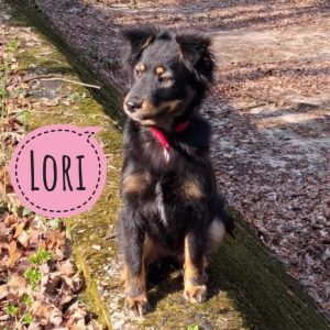LORI