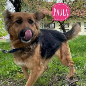 PAULA