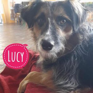 LUCY