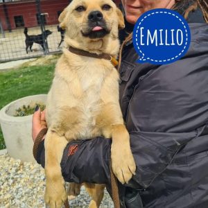 EMILIO