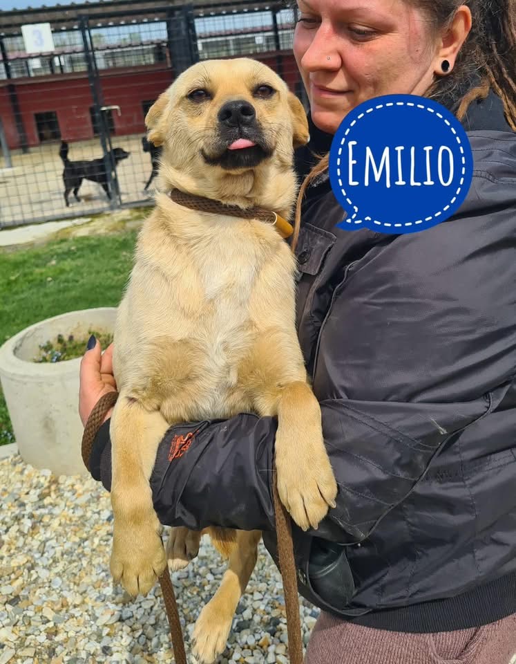 EMILIO