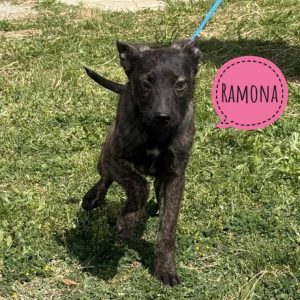 RAMONA