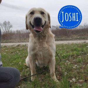 JOSHI