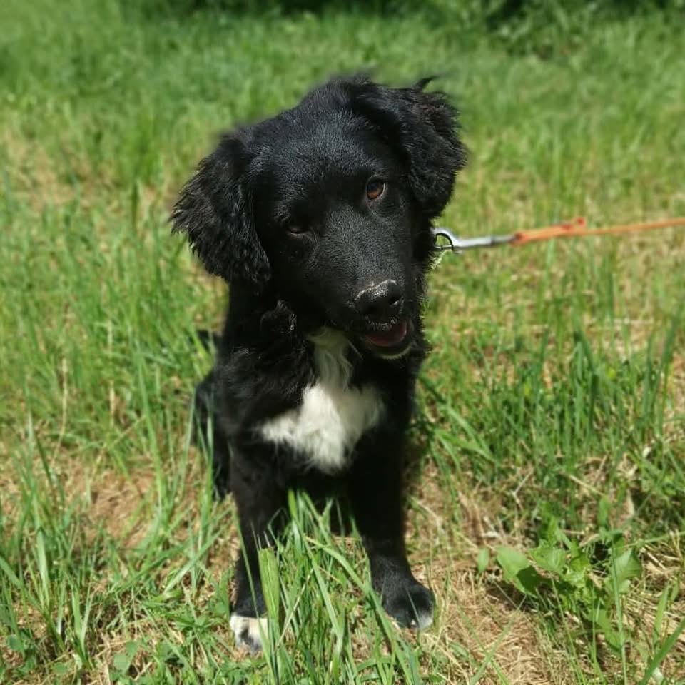 CEZAR – Bild 2