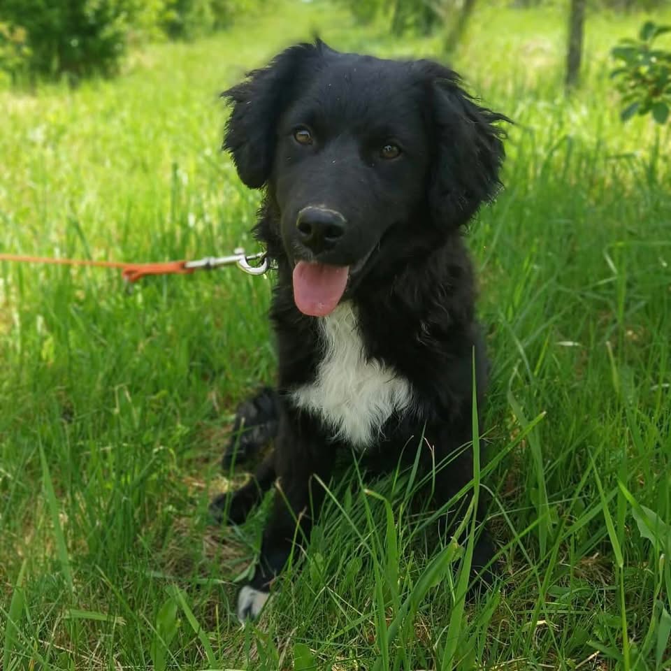 CEZAR – Bild 3