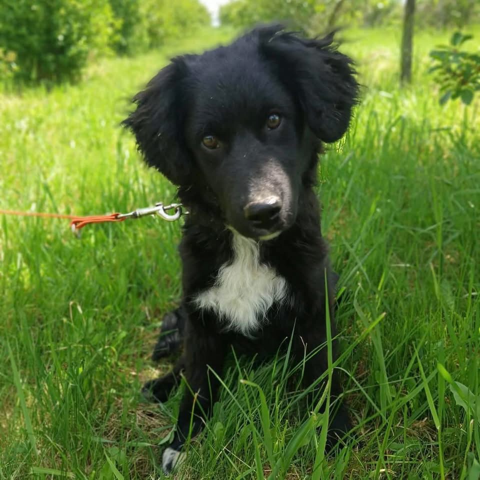 CEZAR – Bild 4