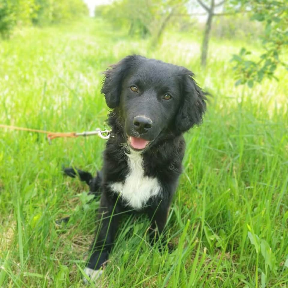 CEZAR – Bild 5