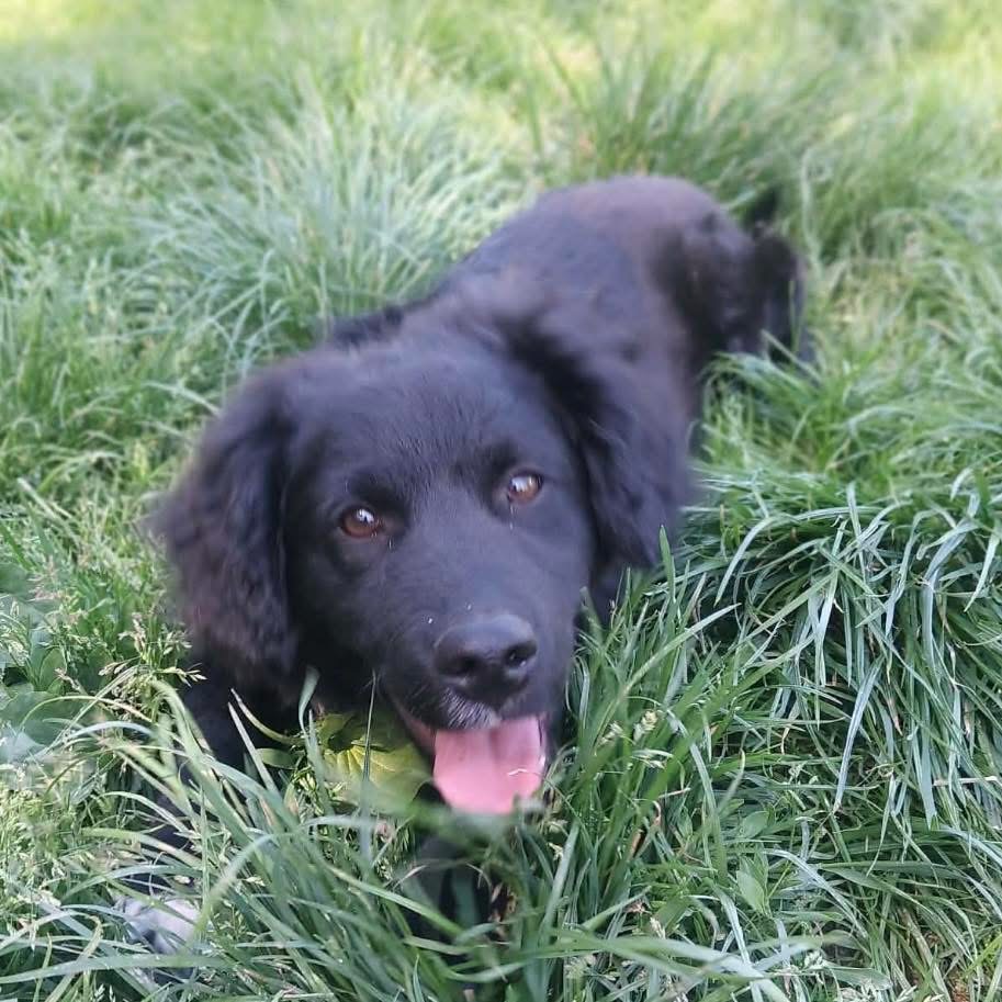 CEZAR – Bild 6