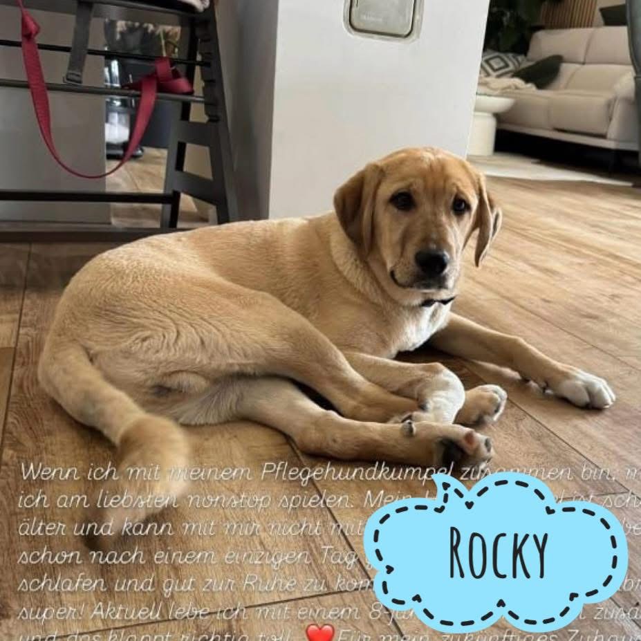 ROCKY