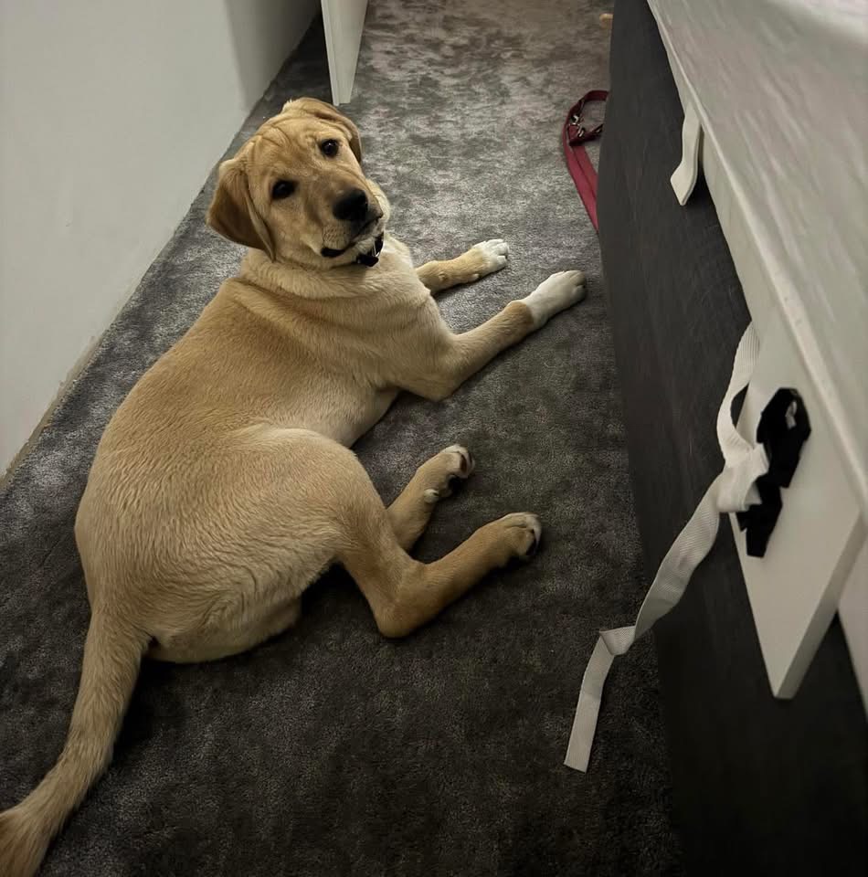 ROCKY – Bild 2