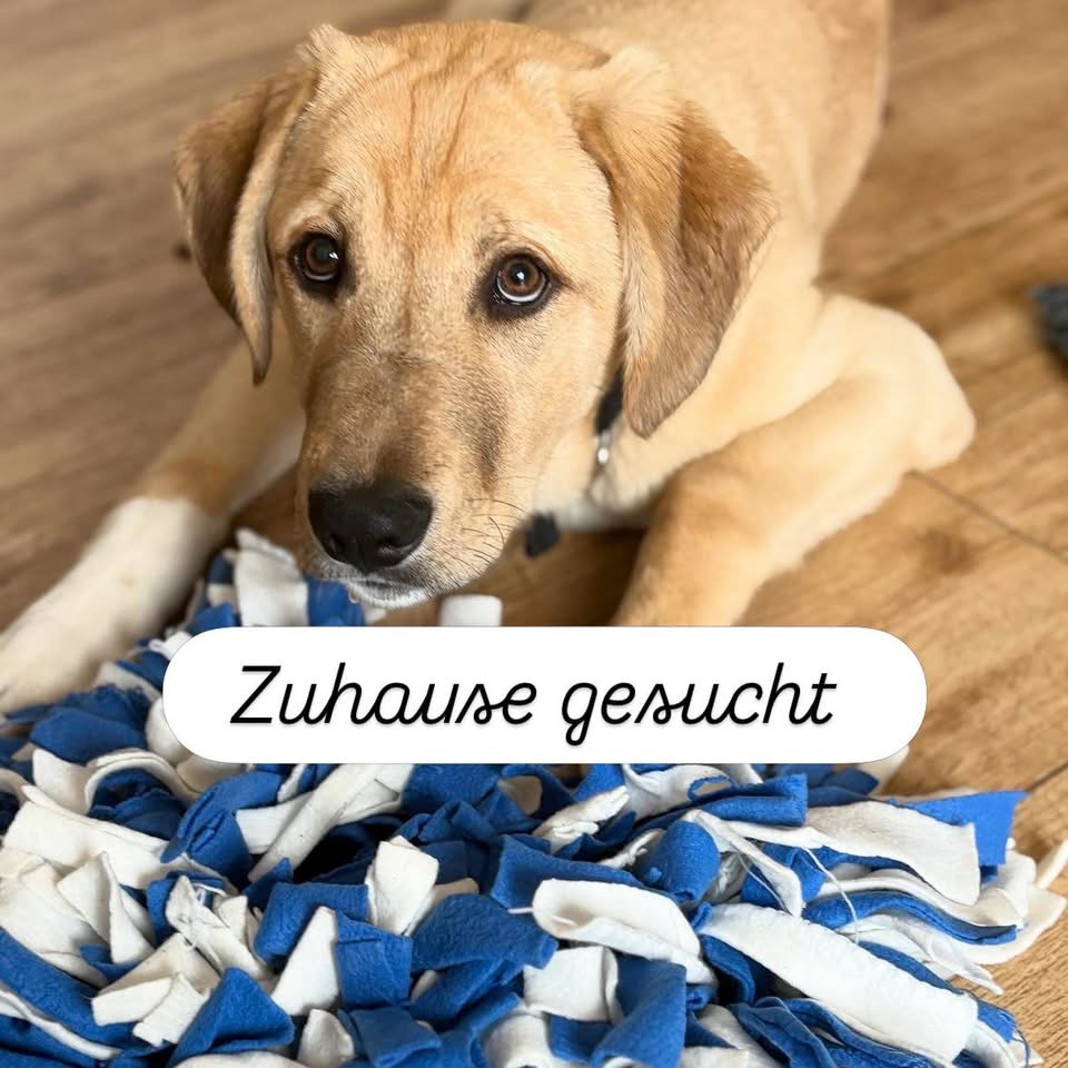 ROCKY – Bild 3