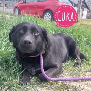 CUKA