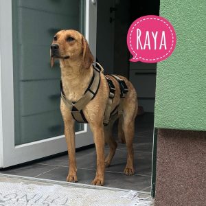 RAYA