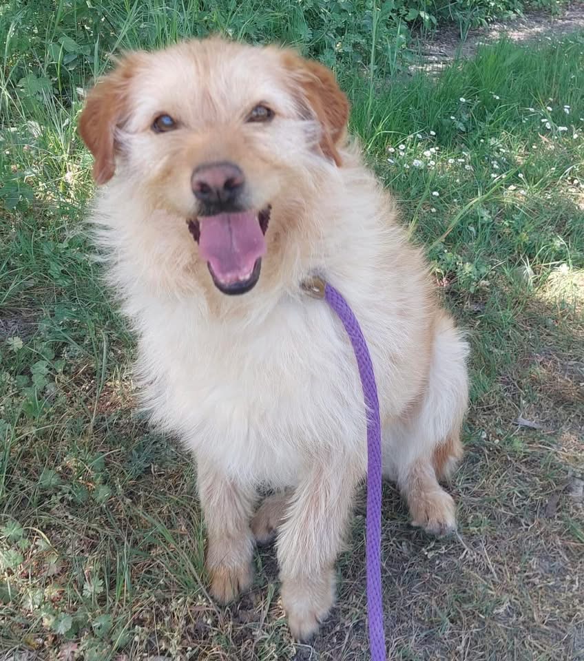 MAISY – Bild 2