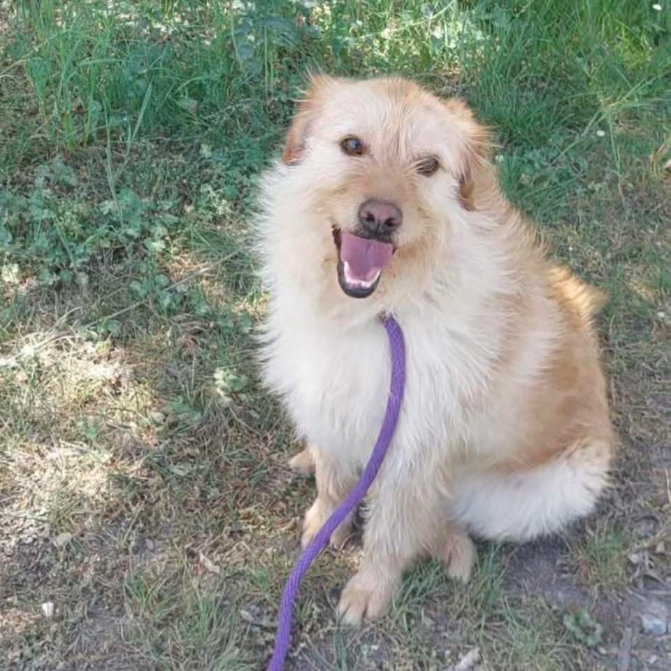 MAISY – Bild 3