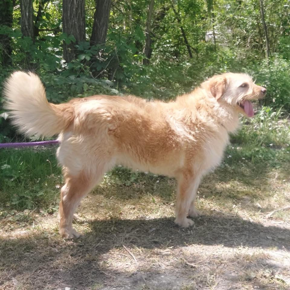 MAISY – Bild 4