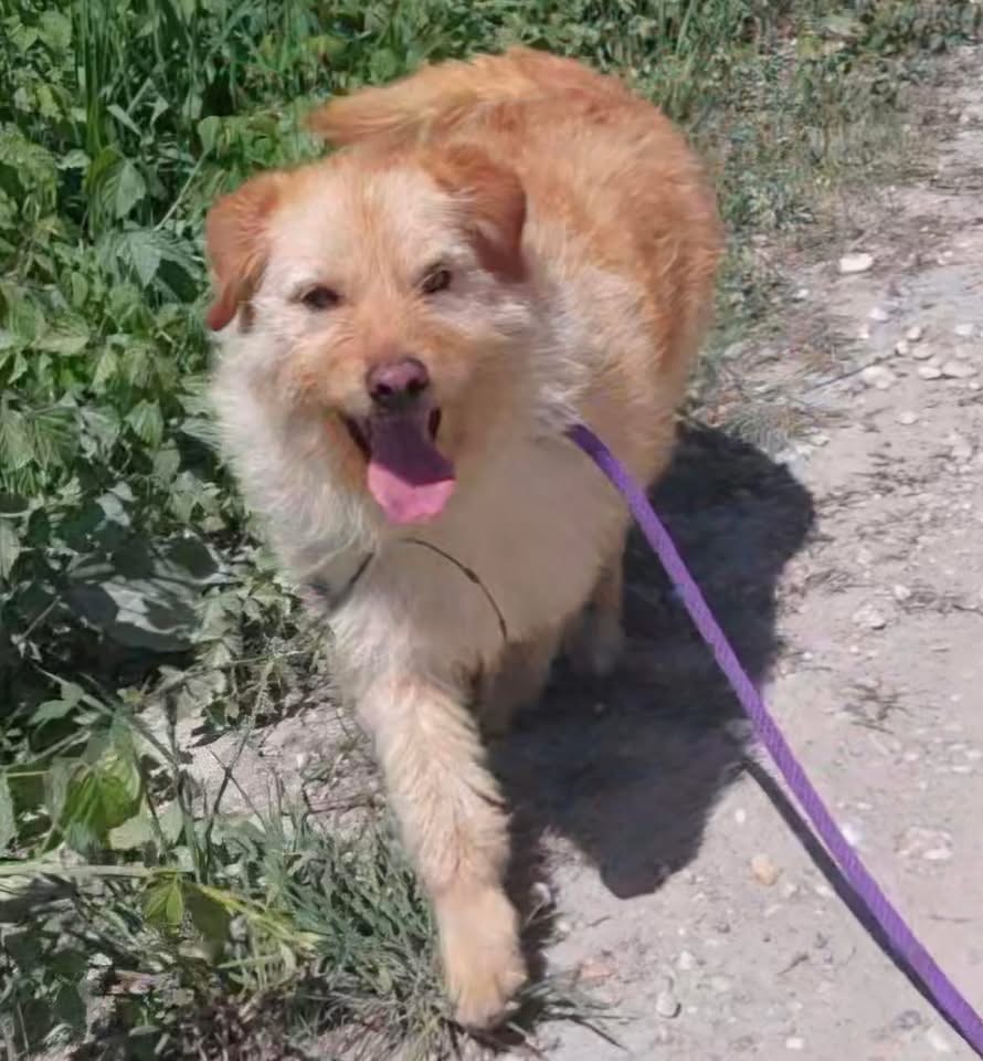 MAISY – Bild 5