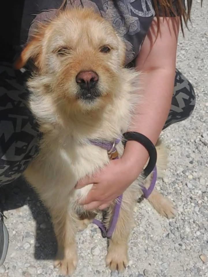 MAISY – Bild 6