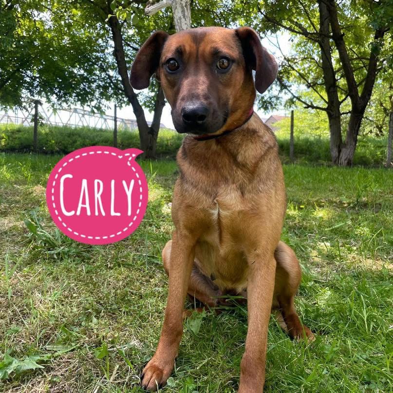 CARLY
