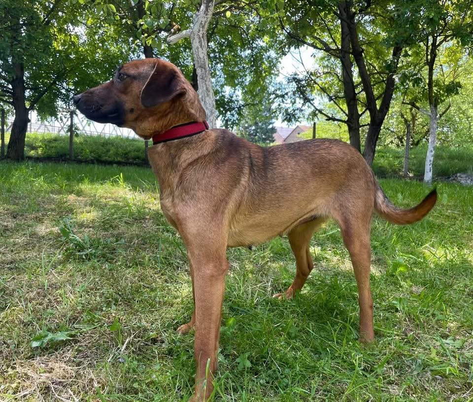 CARLY – Bild 4