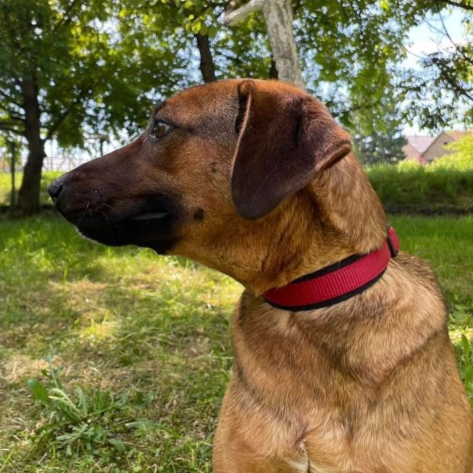 CARLY – Bild 5