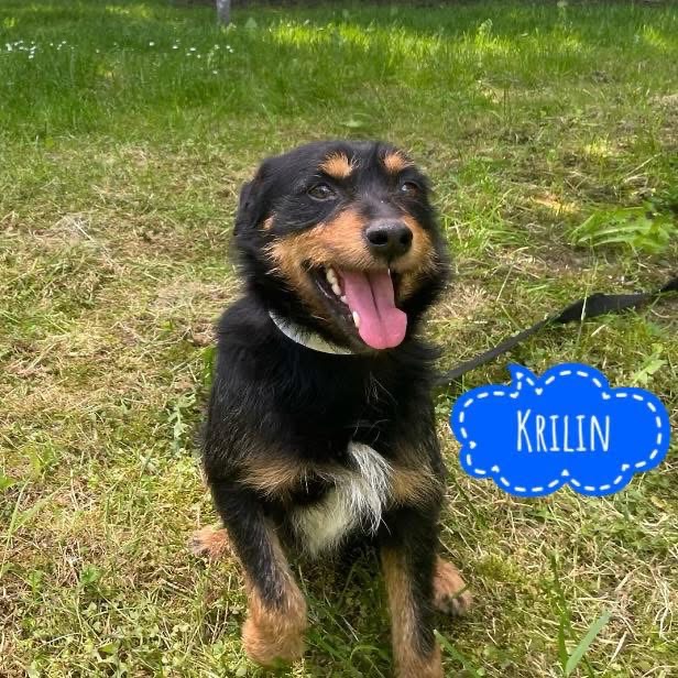 KRILIN
