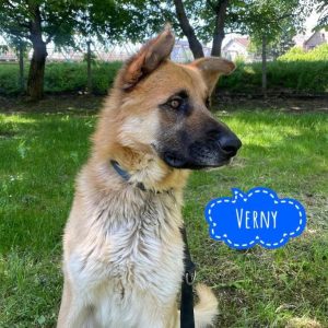 VERNY