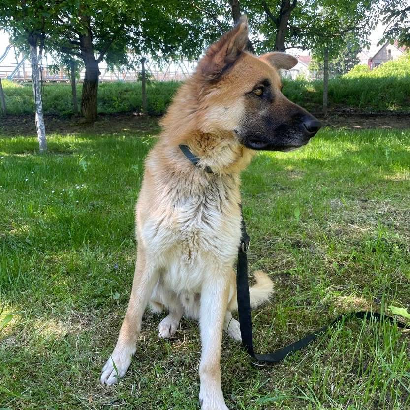 VERNY – Bild 3
