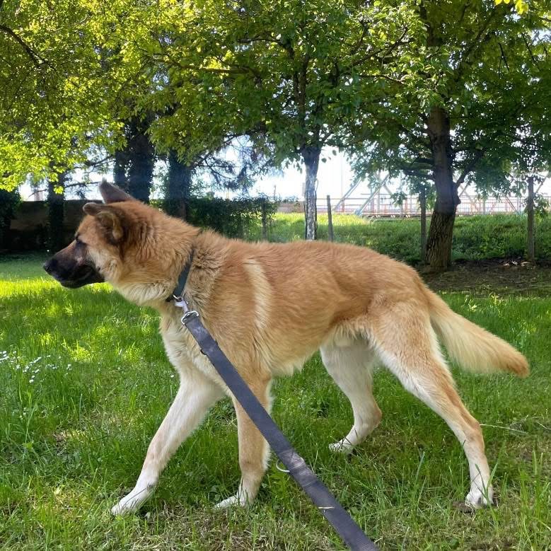 VERNY – Bild 4