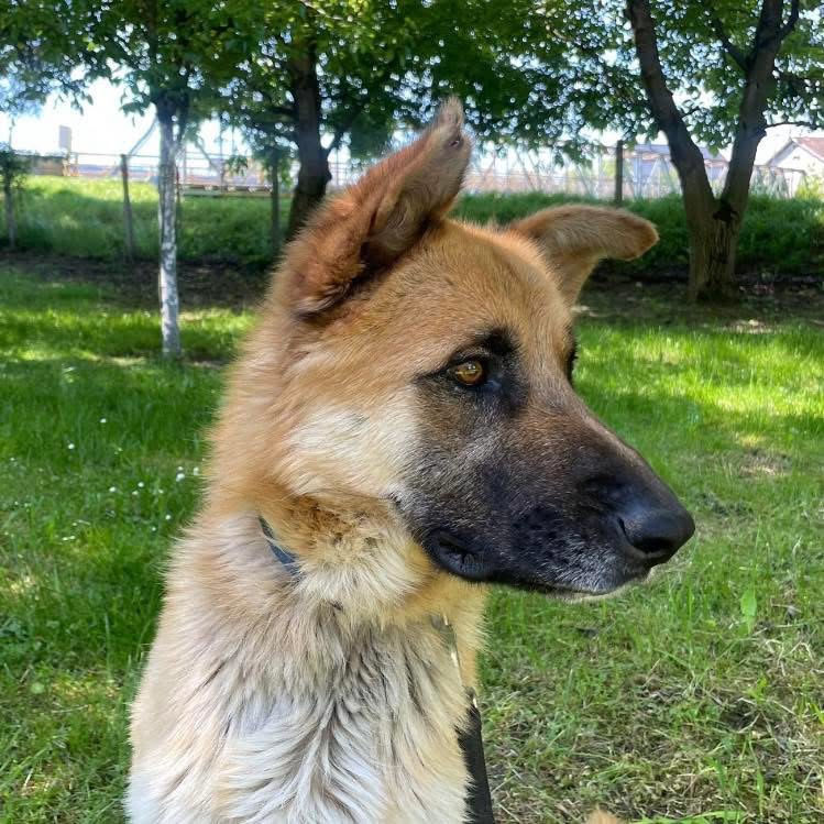 VERNY – Bild 7