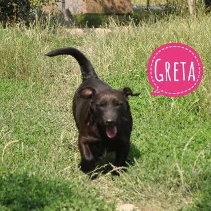 GRETA