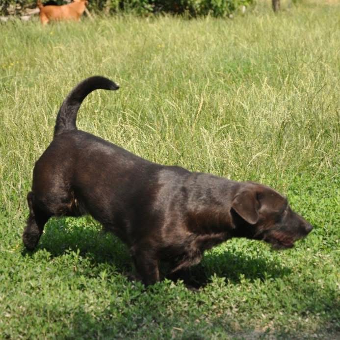 GRETA – Bild 3
