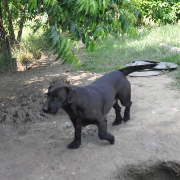 GRETA – Bild 4
