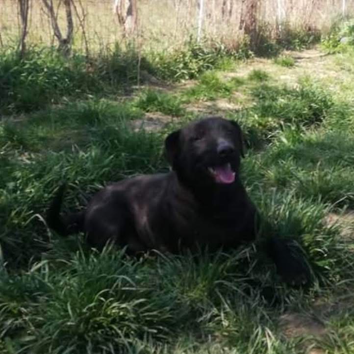 GRETA – Bild 5
