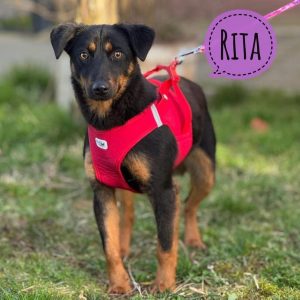 RITA
