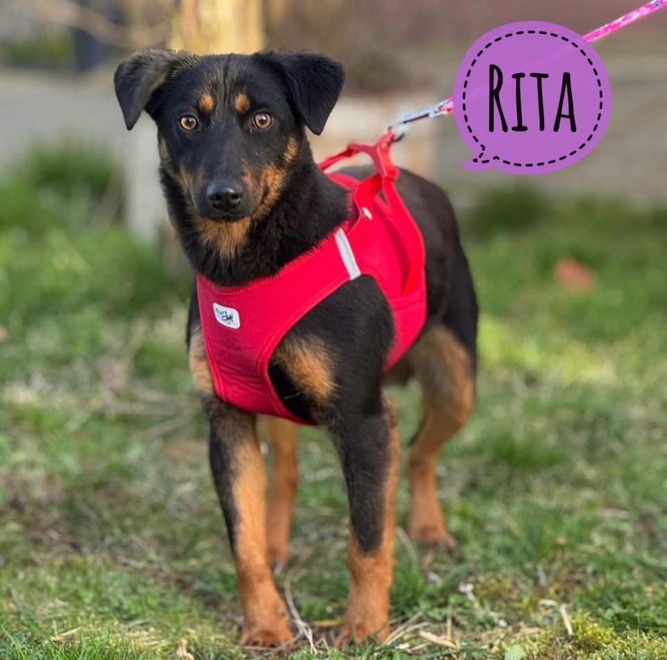 RITA