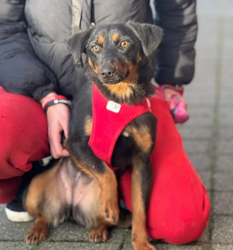 RITA – Bild 2