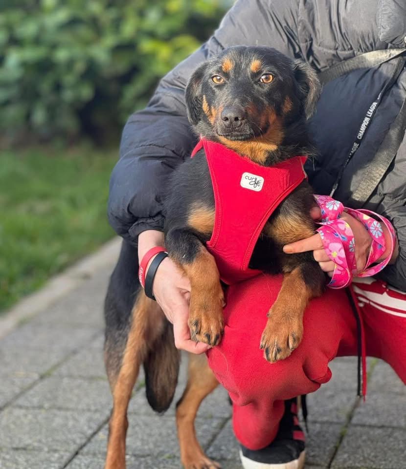 RITA – Bild 3